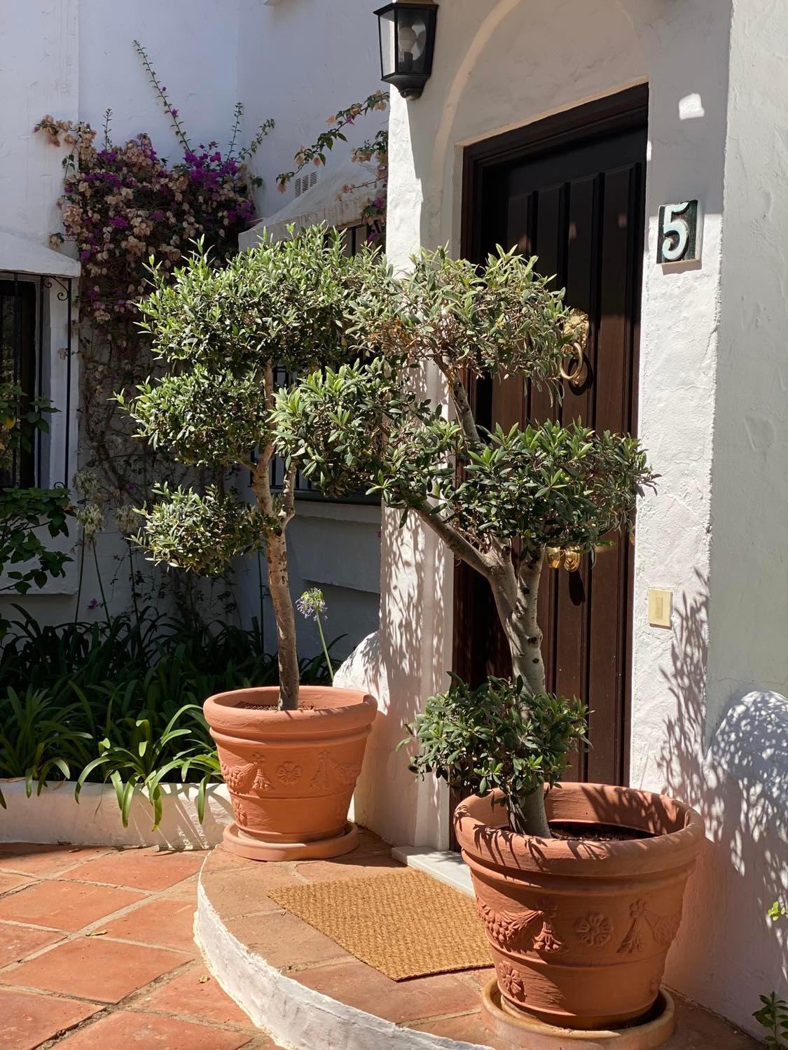 Apartment Topbeliggende Lejl I Nueva Andalucia